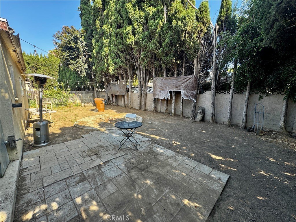 Picture 51