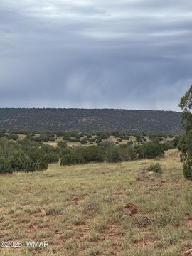 Concho, AZ Land Parcel
