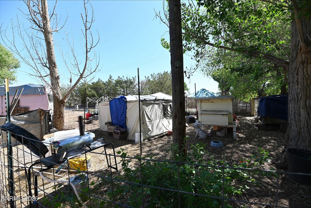 Picture 6