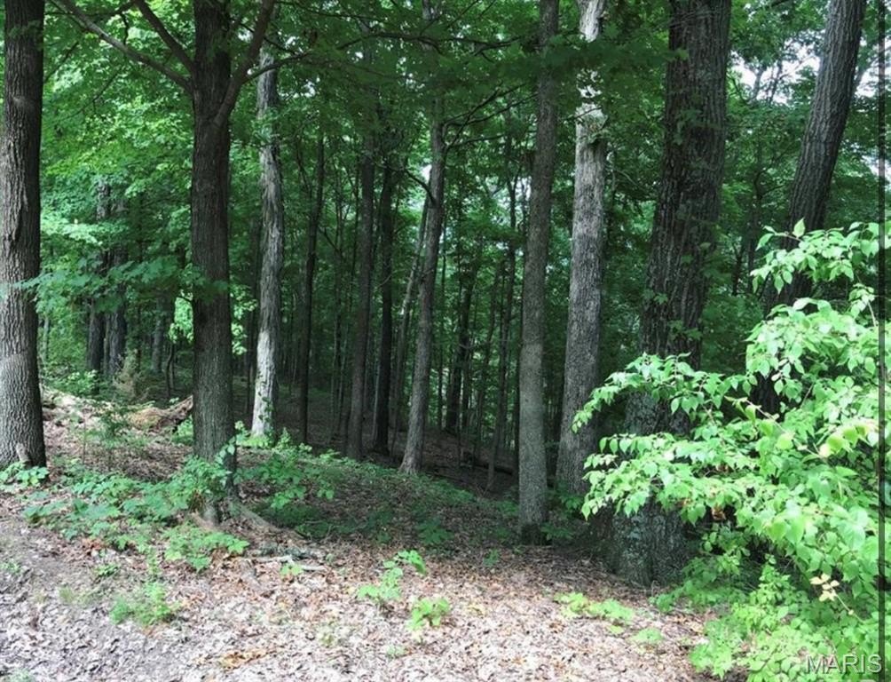 Picture 3