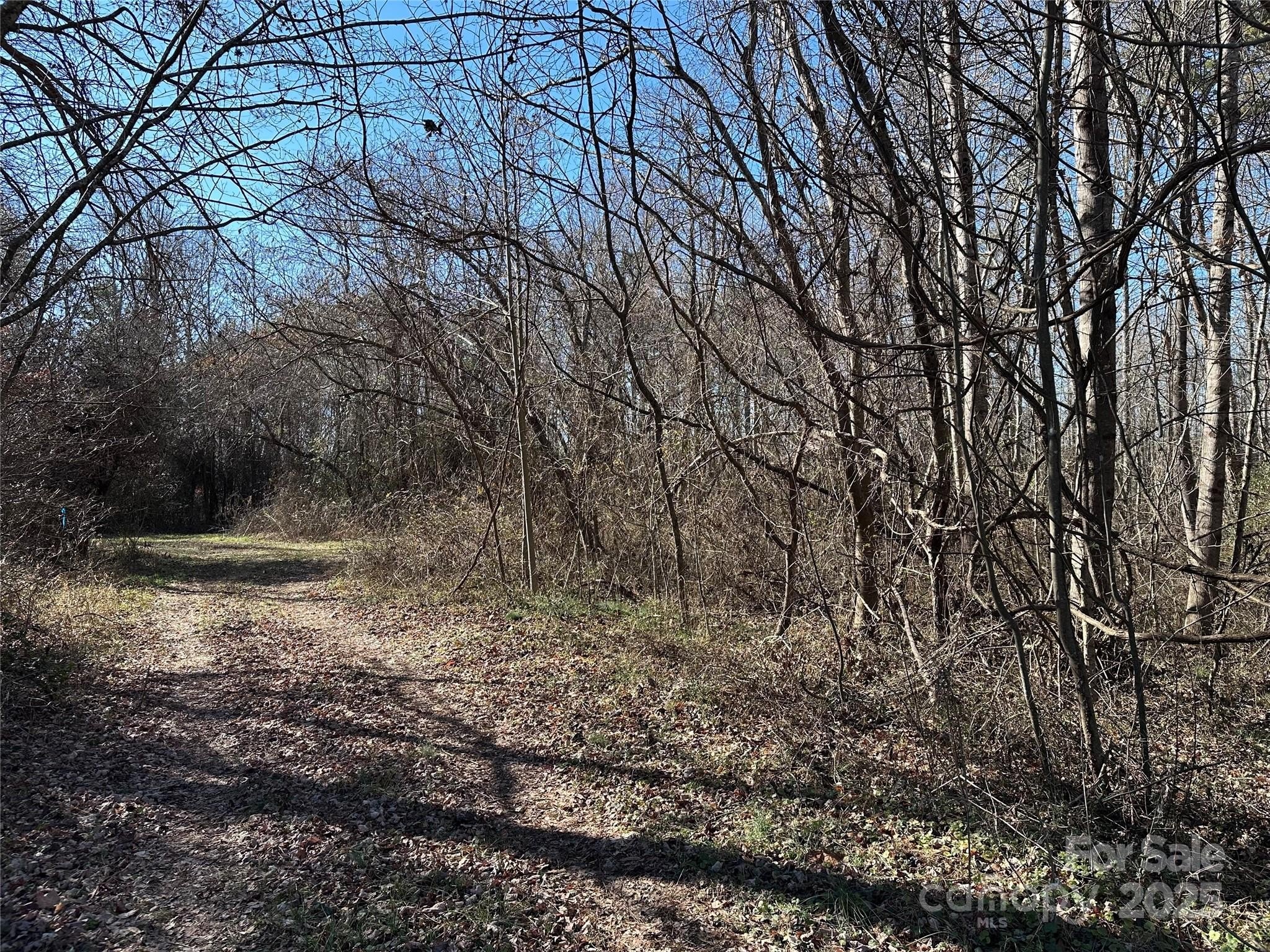 Undeveloped Land Near Yadkinville