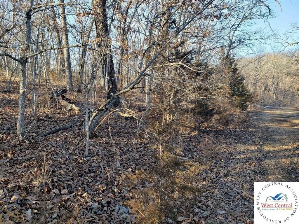 Picture 3