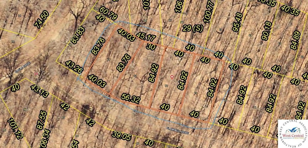 Picture 9