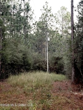 Land, Vancleave, MS