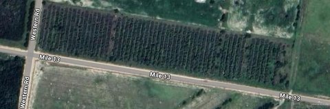 Edinburg, TX Land Opportunity