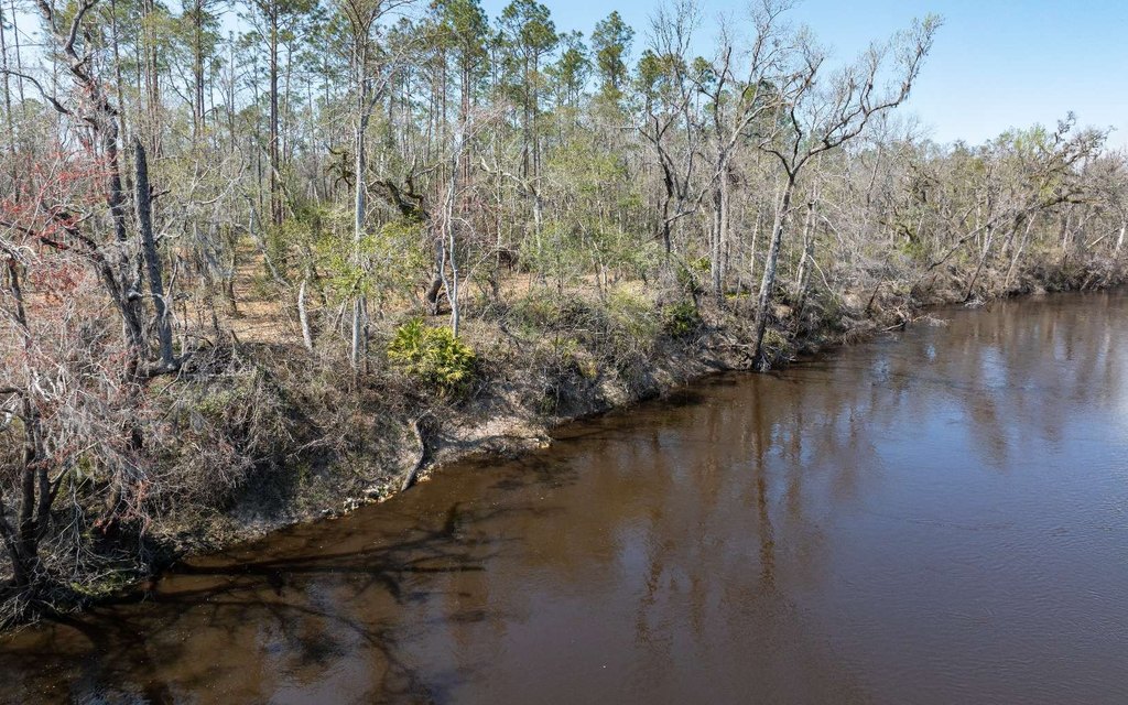 Picture 11
