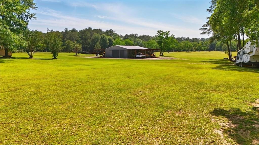 Picayune Land with Barn