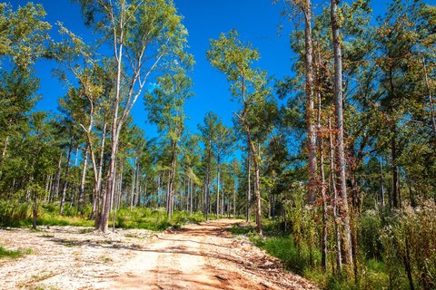 Expansive Acreage in Columbia County