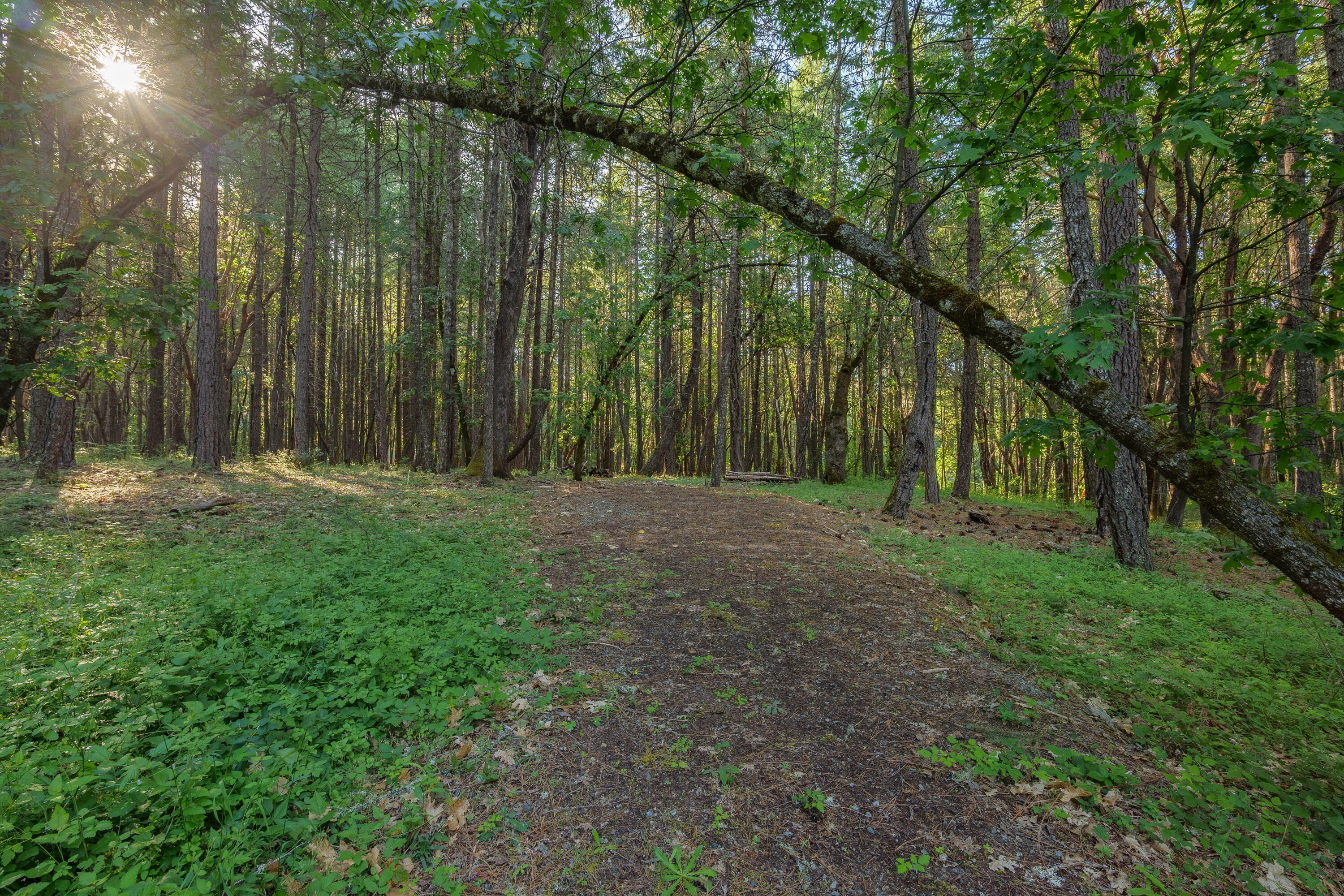 Residential Land in Evergreen Terrace