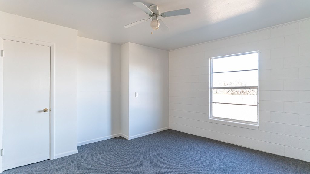 Picture 37