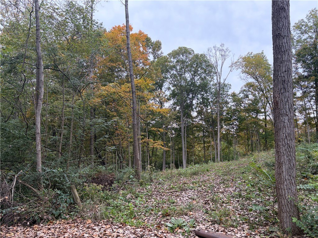 Picture 12