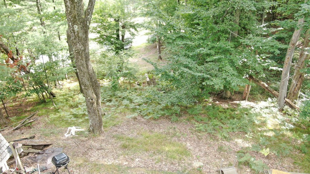 Picture 5