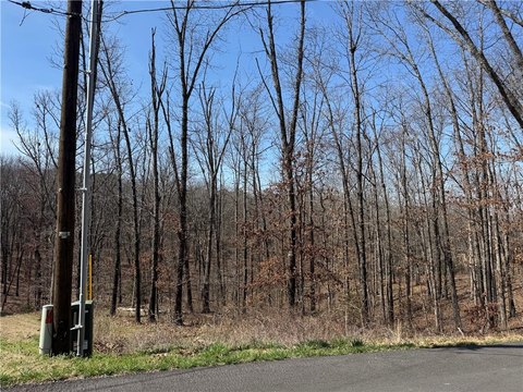 Bella Vista Land Opportunity