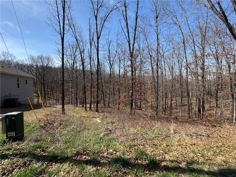 Bella Vista Land Opportunity