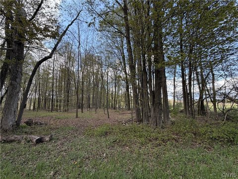 Land For Sale Jordanville, NY
