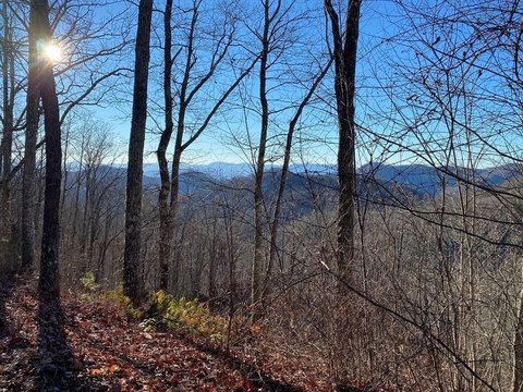Mountain View Land in Sylva