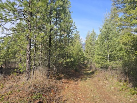 Recreational Building Lot Near River