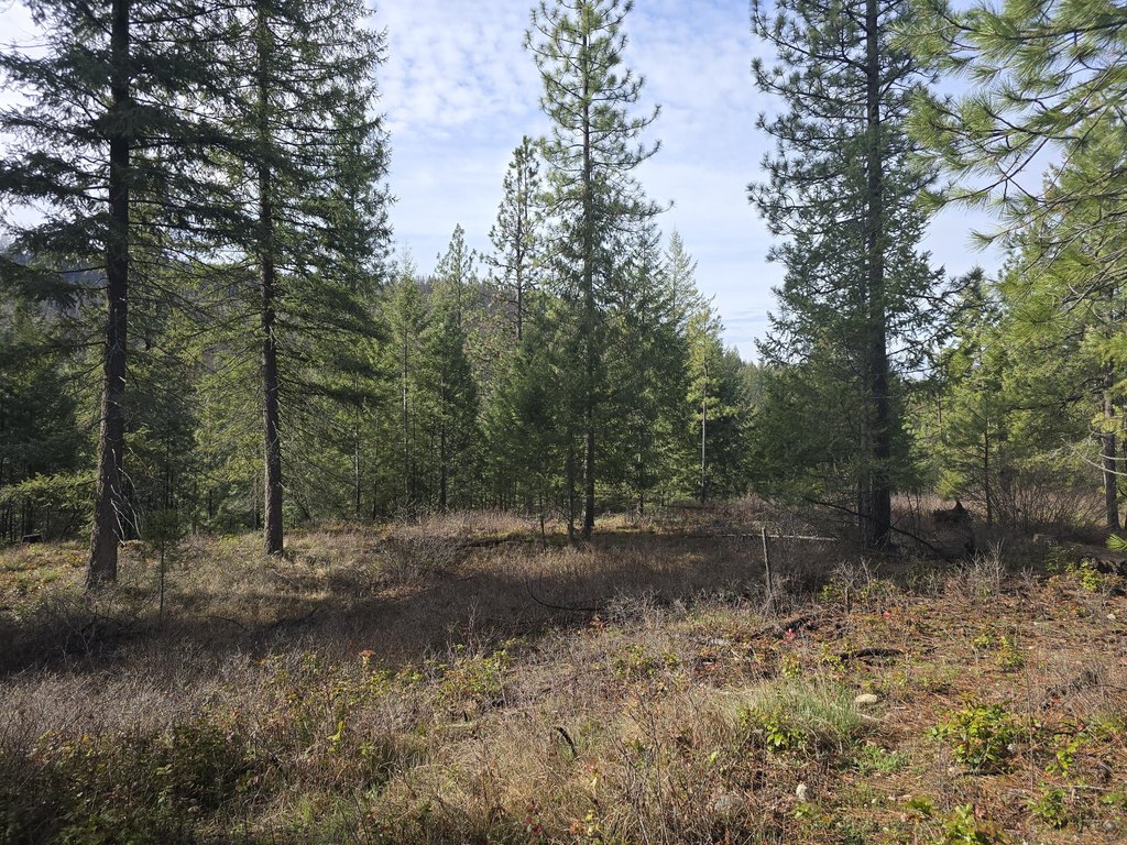 Picture 3
