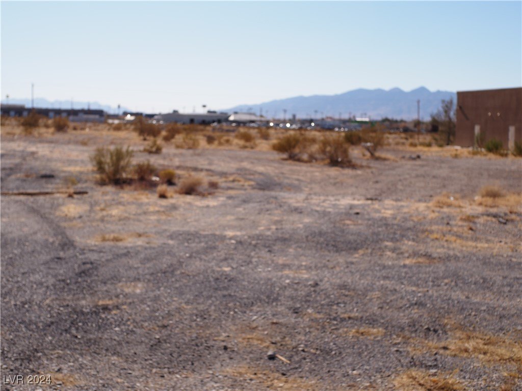 Picture 8