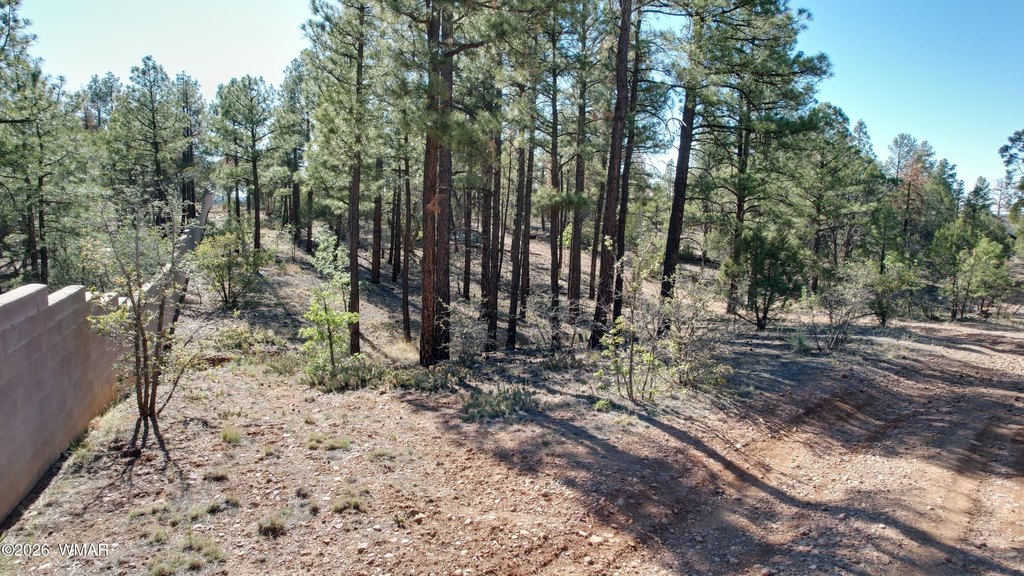 Picture 25
