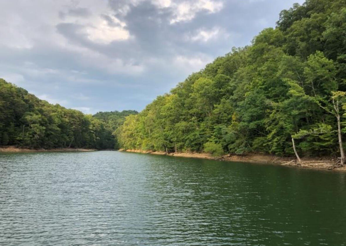 Douglas Lake Wooded Lot