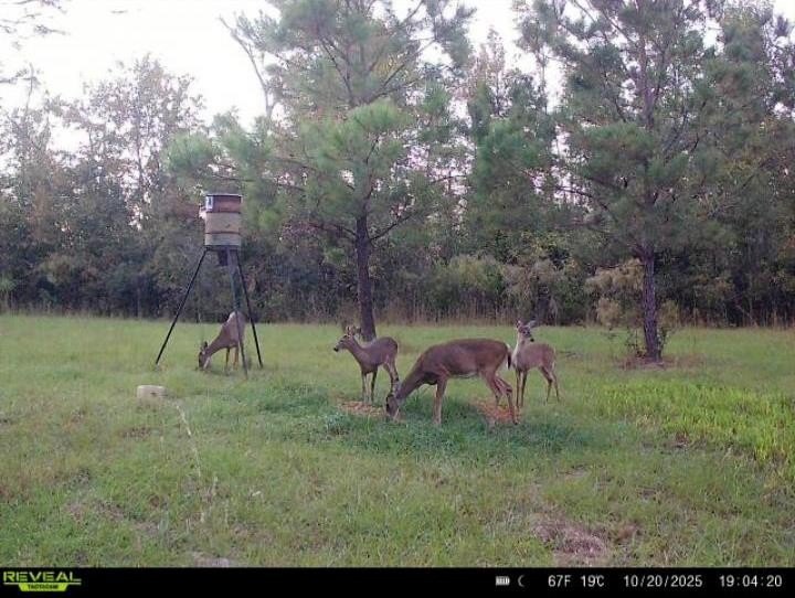 Prime Hunting and Recreation Land