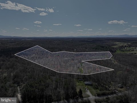 40 Acres of Wooded Land