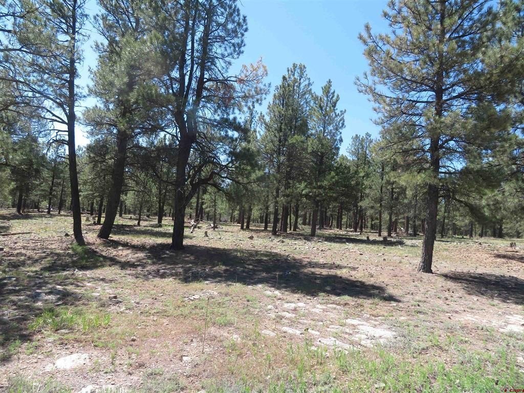 Land in Pagosa Springs, CO