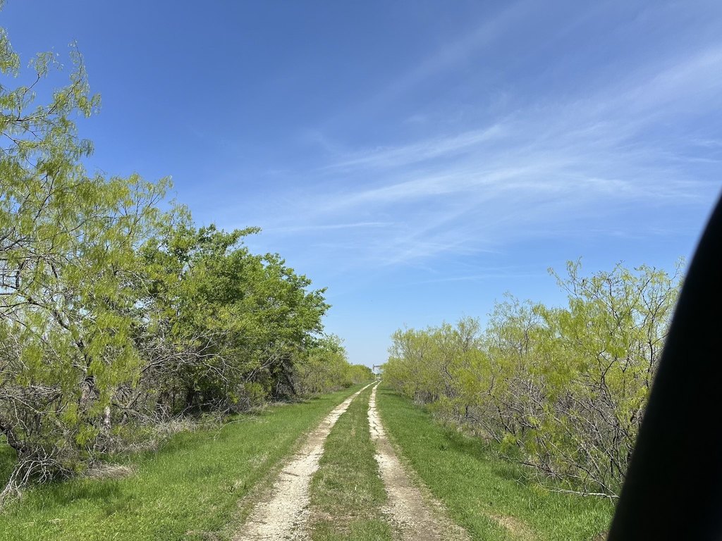 Picture 18