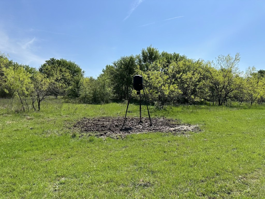 Picture 28