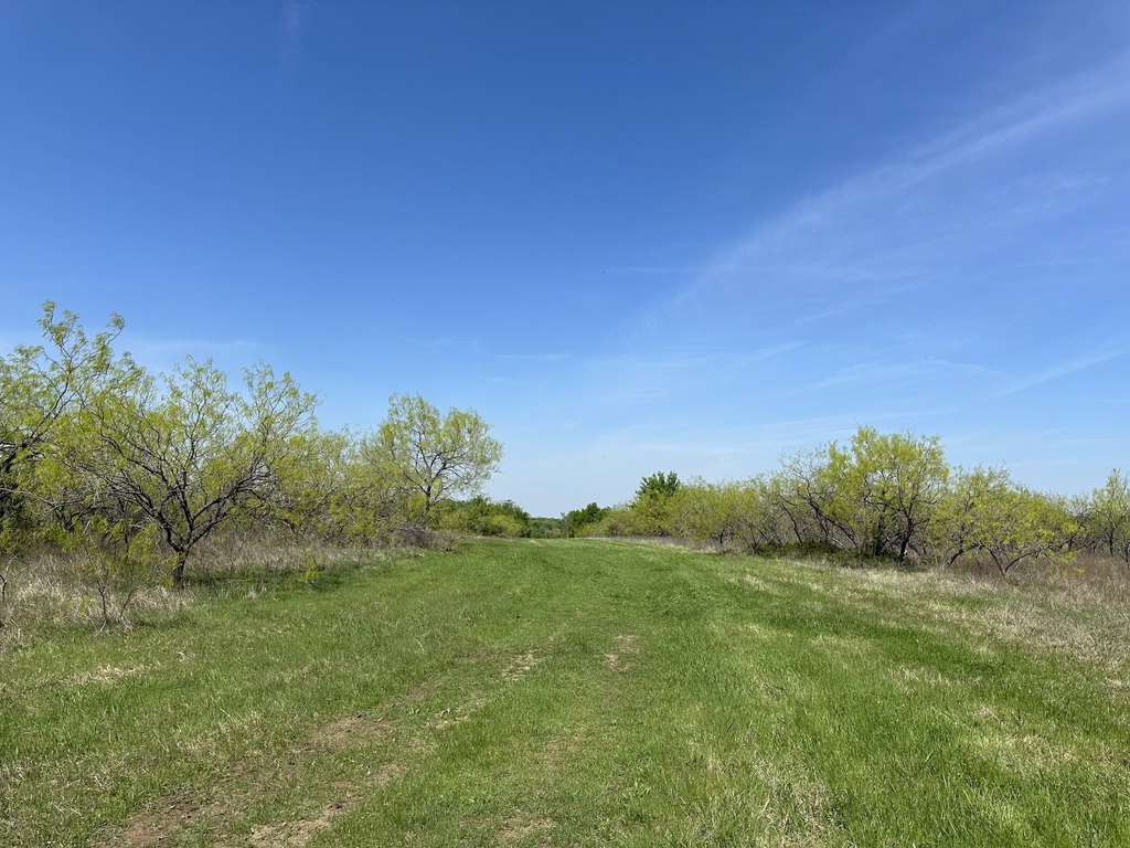 Picture 36
