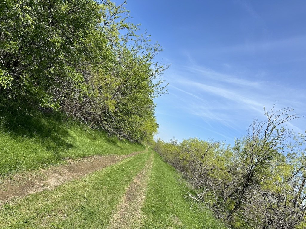 Picture 19
