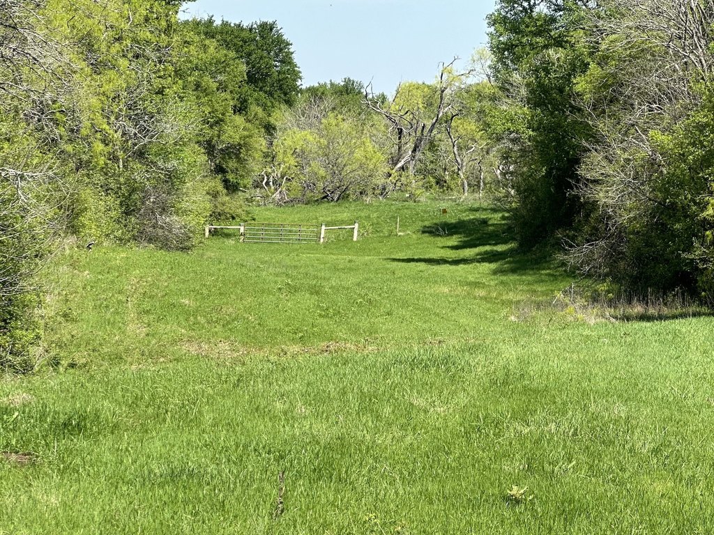 Picture 26