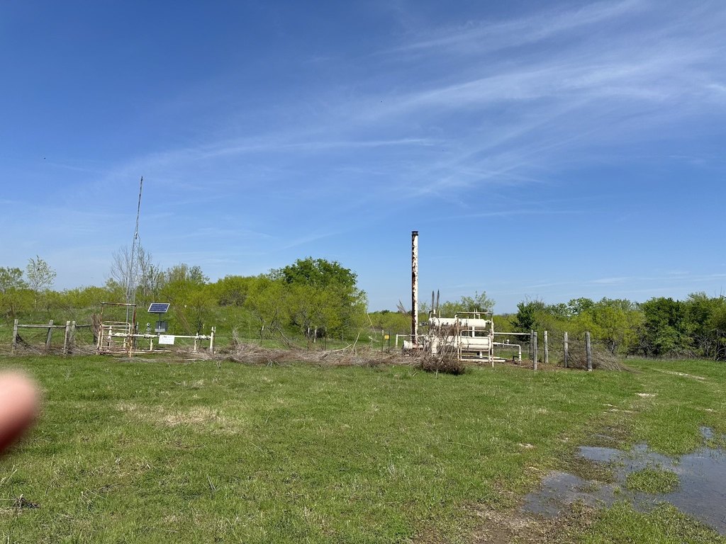 Picture 39
