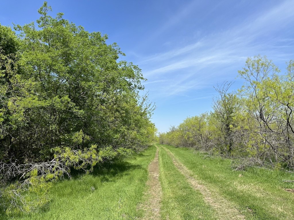 Picture 20
