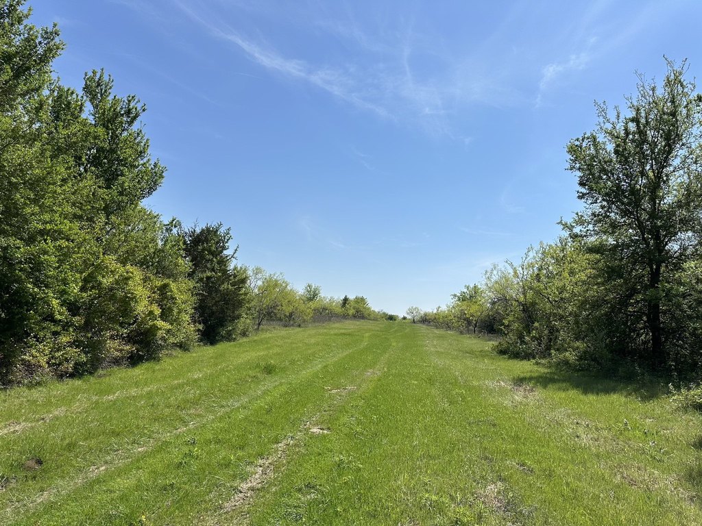 Picture 24
