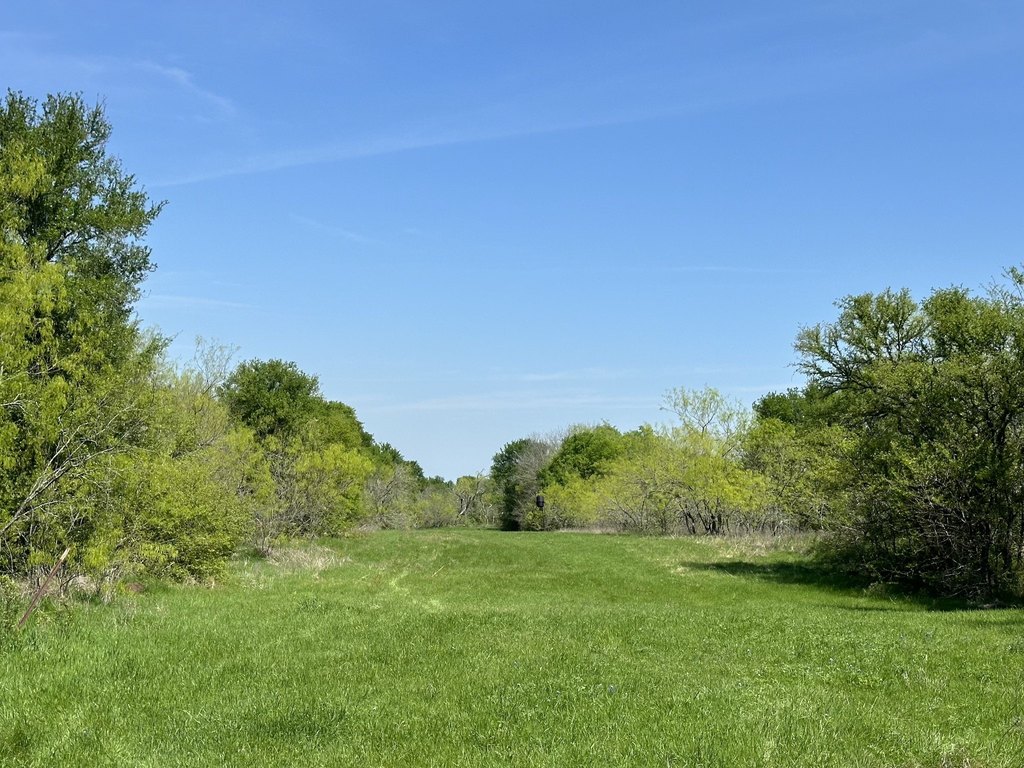 Picture 21