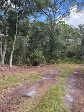 Land, MYAKKA CITY, FL