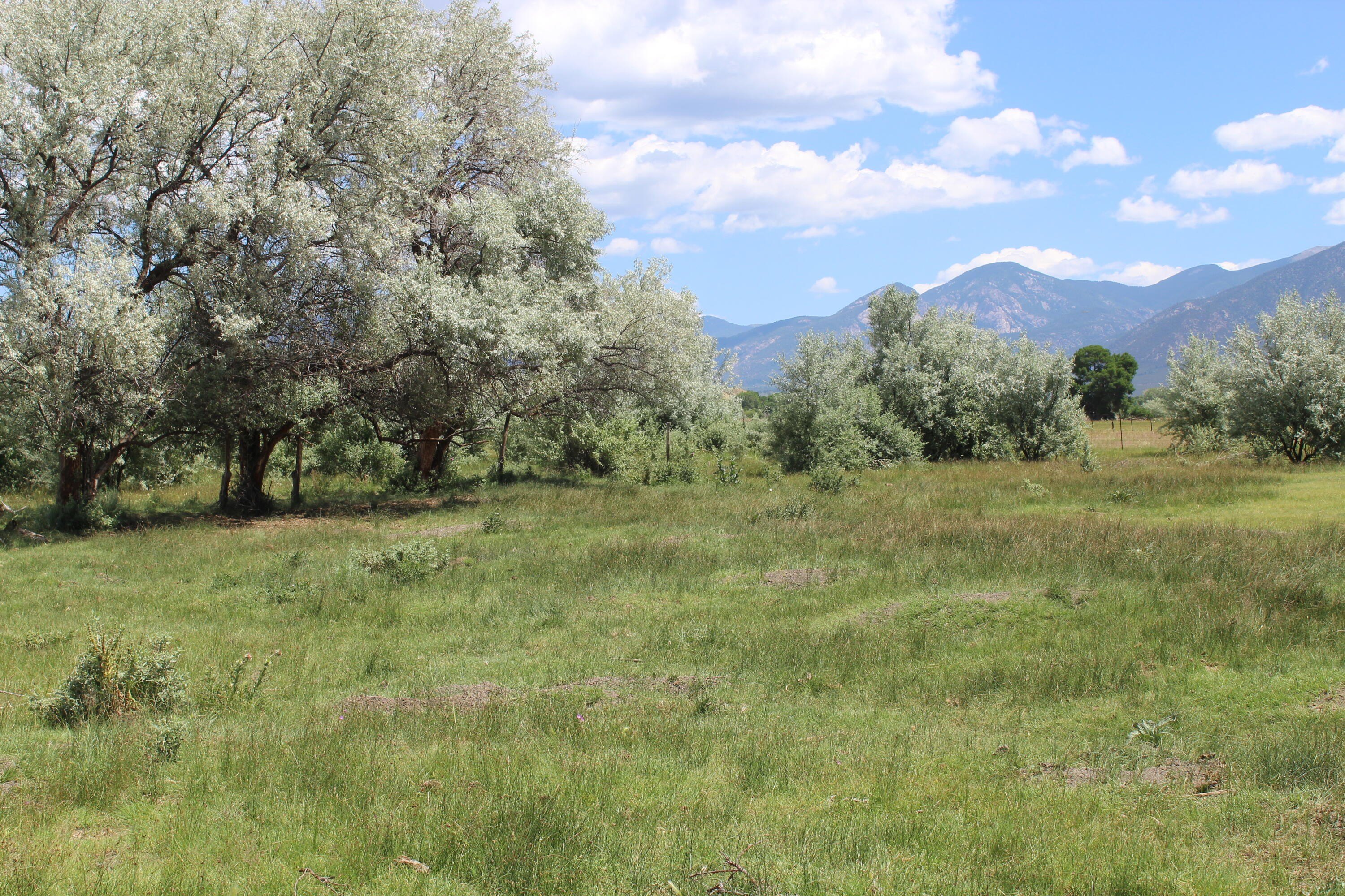 63.59 Acres Irrigated Land