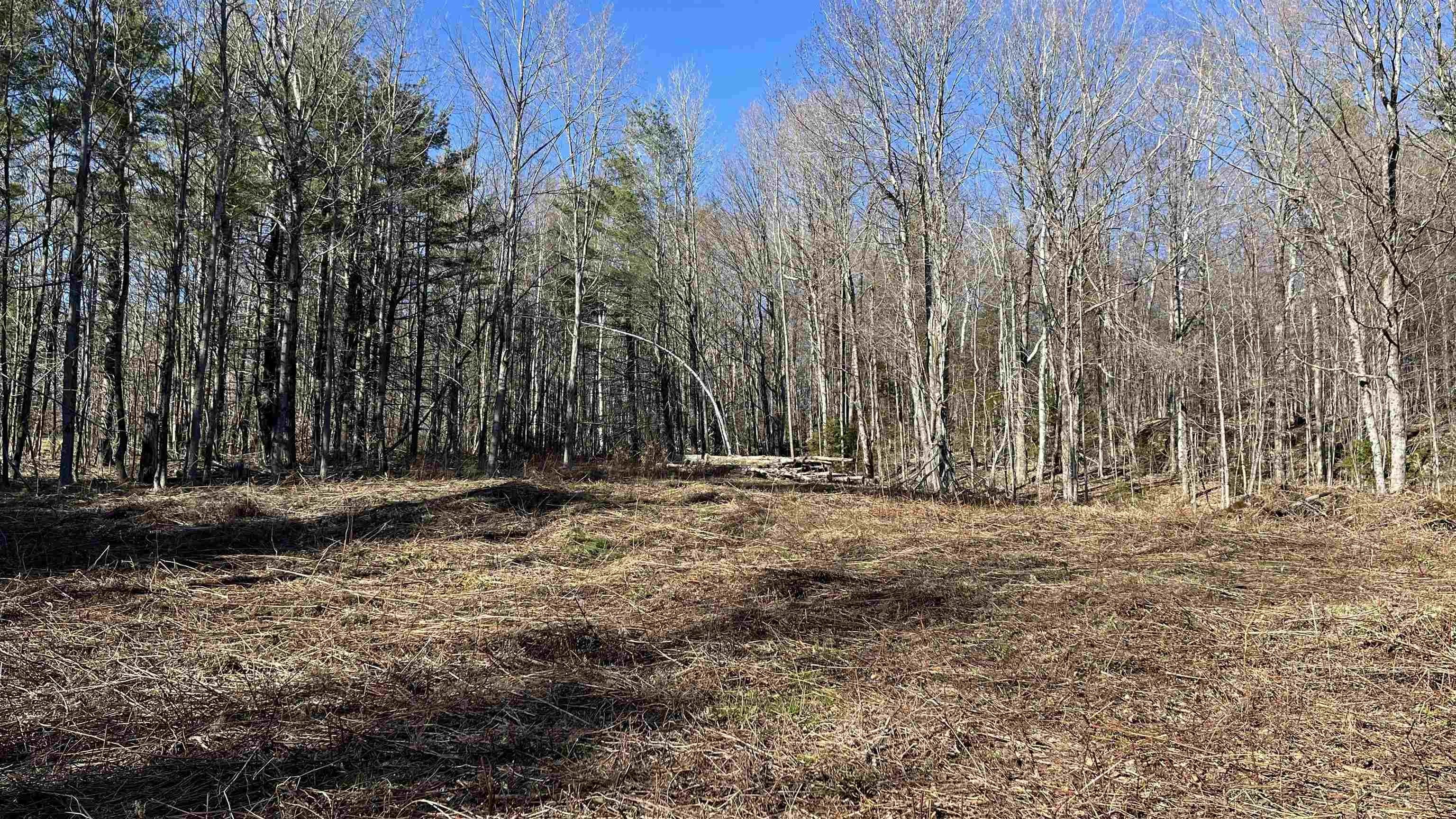 Plymouth Land Parcel in Dix Hill