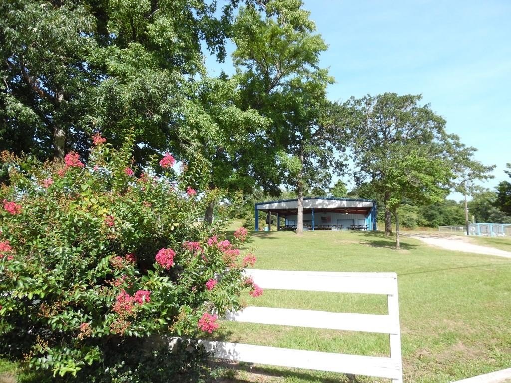 Picture 8