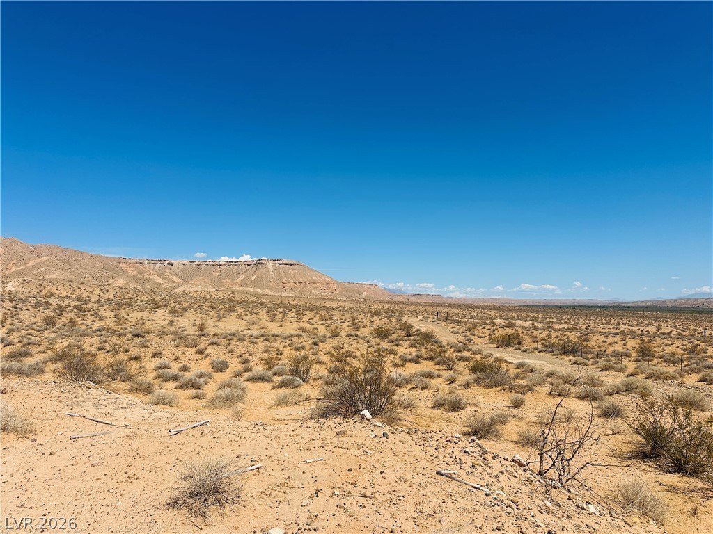 Picture 20