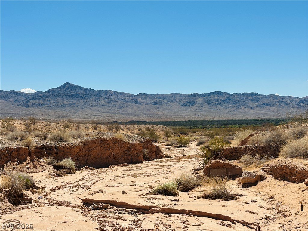 Picture 25