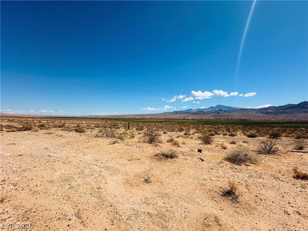Picture 19
