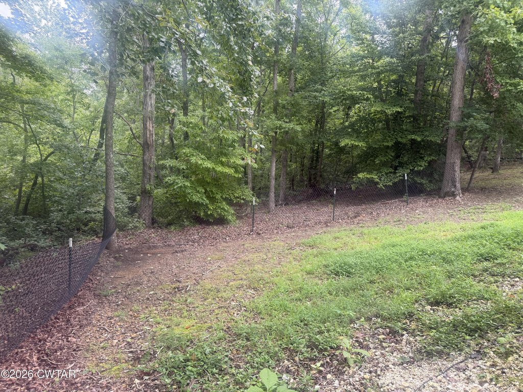 Picture 4