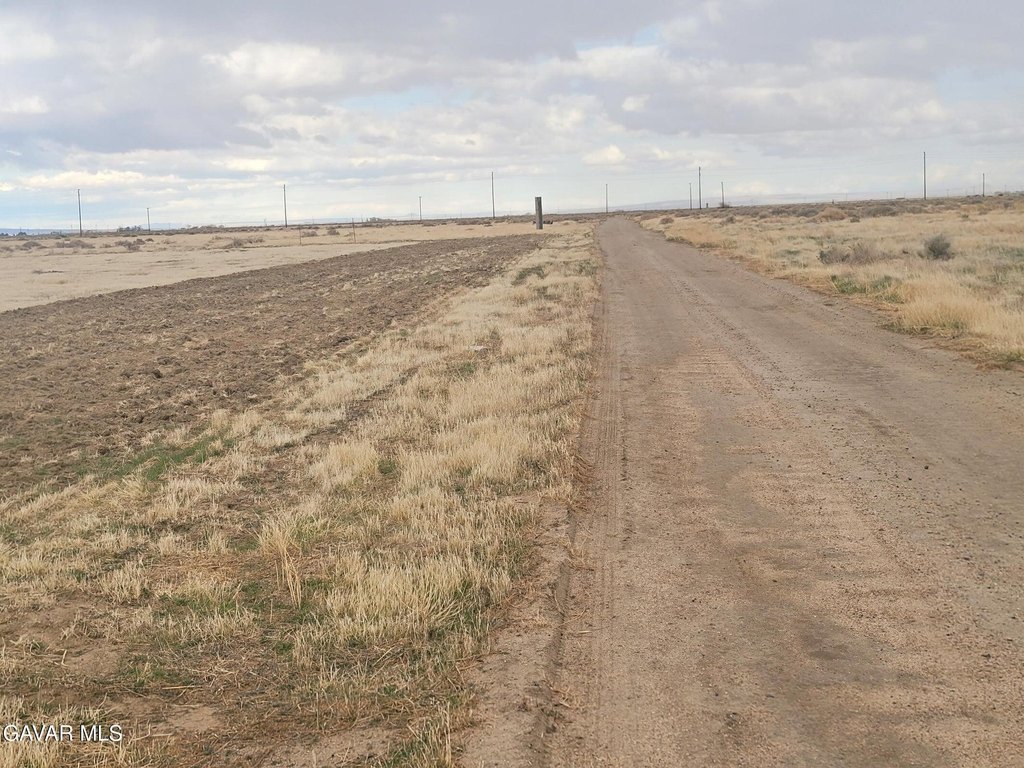 Picture 6