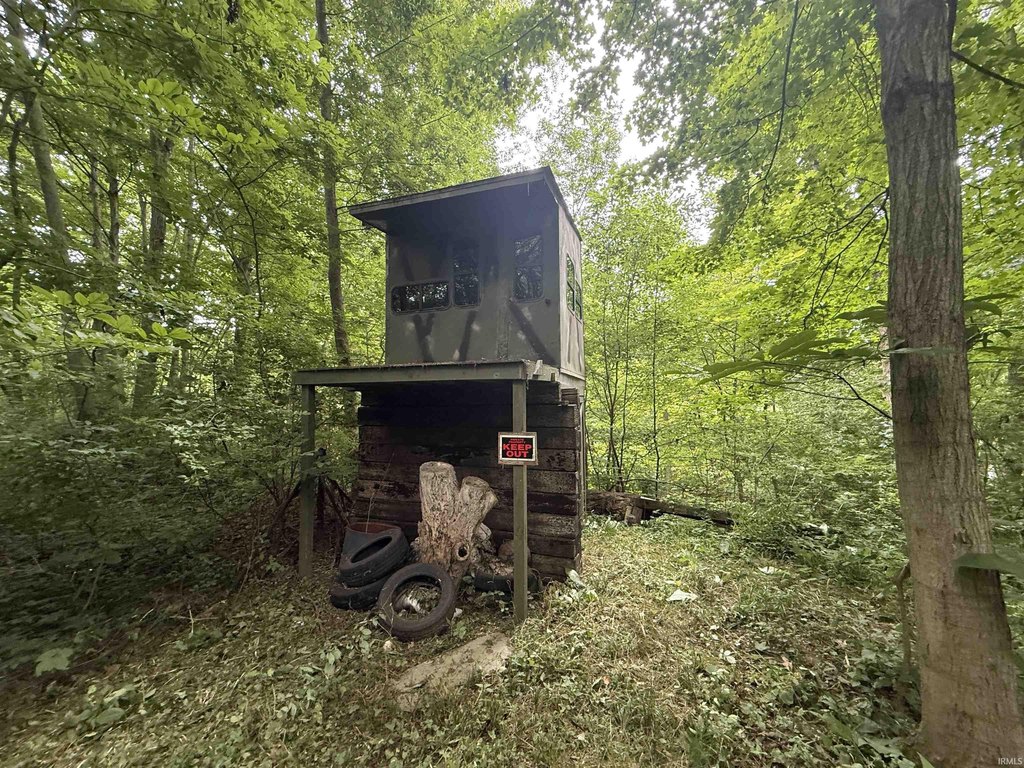 Picture 17