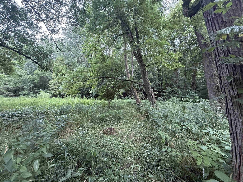 Picture 24