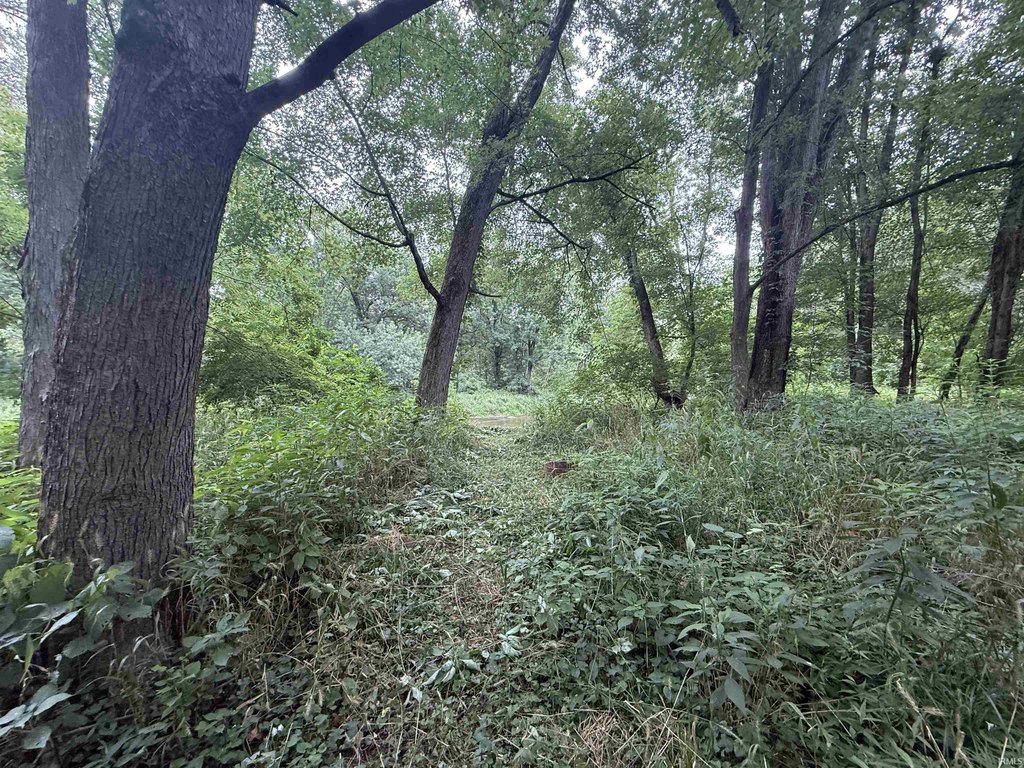 Picture 21