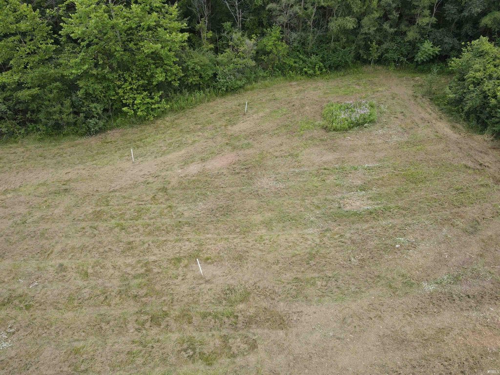 Picture 5